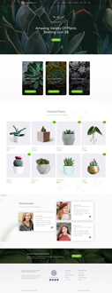 Plant store